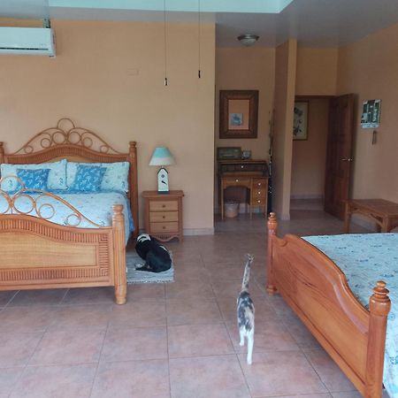 بوكاتشيكا Gone Fishing Panama Resort المظهر الخارجي الصورة