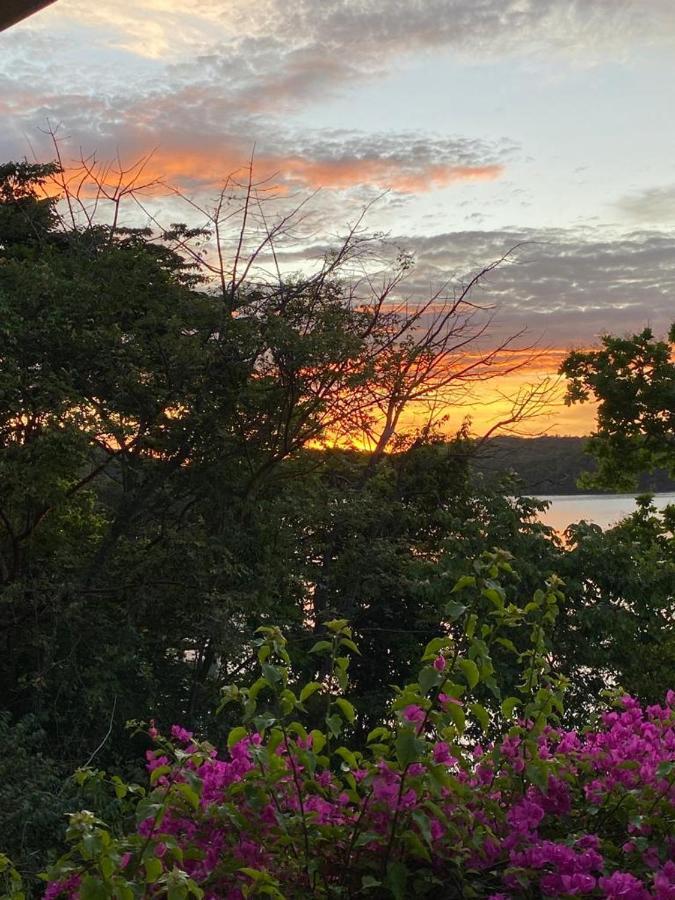 بوكاتشيكا Gone Fishing Panama Resort المظهر الخارجي الصورة