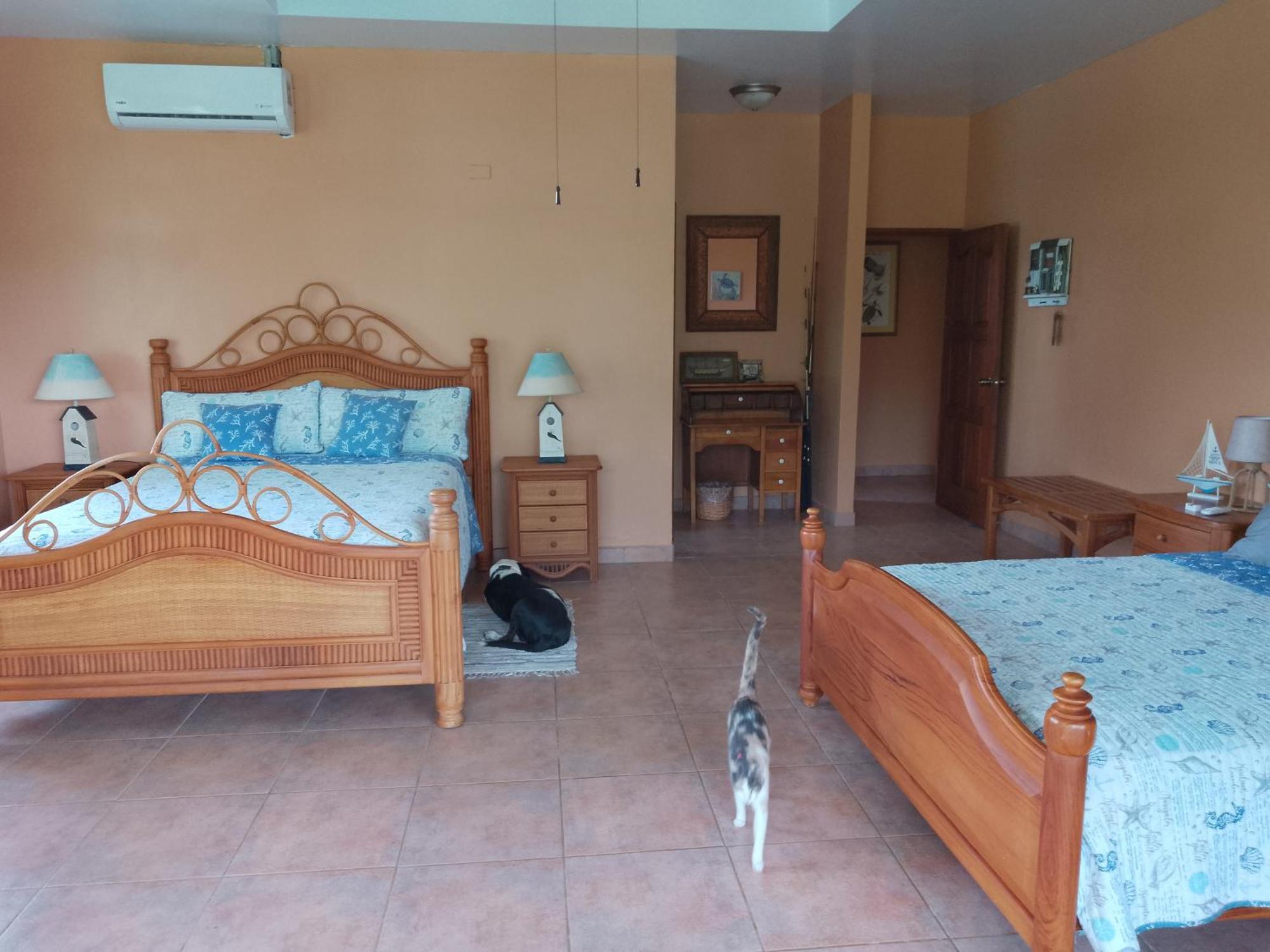 بوكاتشيكا Gone Fishing Panama Resort المظهر الخارجي الصورة